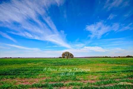 01country18.jpg