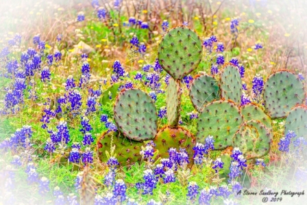 05TX0319.jpg