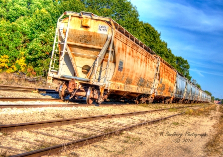 tran01.jpg